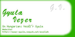 gyula vezer business card